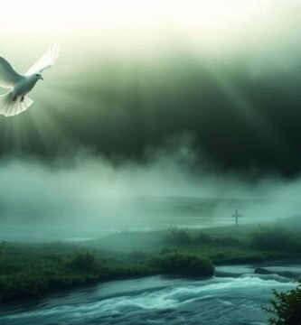 Bild eines Feldes bei Sonnenaufgang mit einer Taube, die in einem hellen Licht am Himmel fliegt