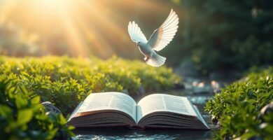 Bild einer offenen Bibel auf einem Feld, über dem eine weiße Taube fliegt