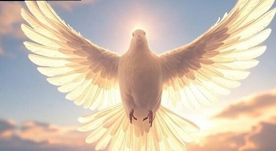 Tägliches Gebet zum Heiligen Geist